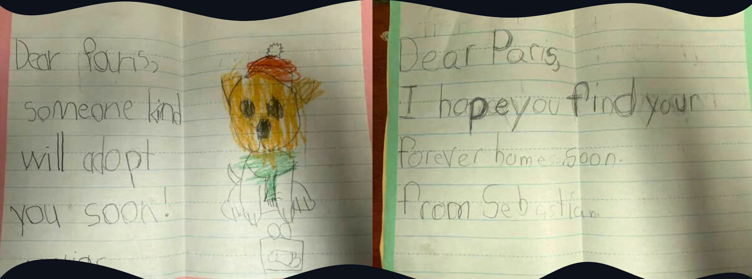 Dear Paris Someone Kind Will Adopt You Soon